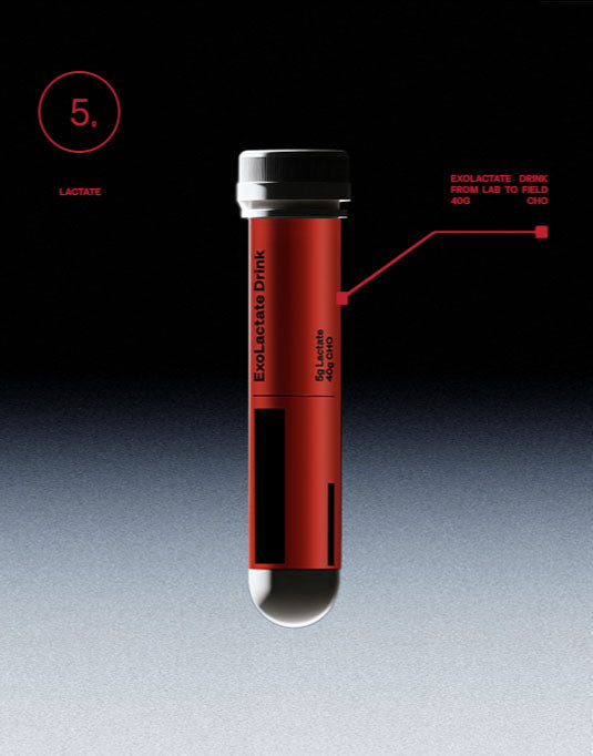 Lorem ipsum dolor sit amet consectetur adipiscing elit viverra 2